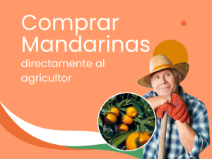 Comprar mandarinas directamente al...