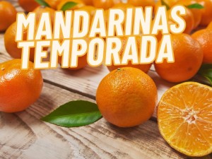 Mandarinas temporada