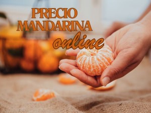 Precio mandarina online