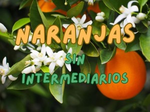 Naranjas sin intermediarios 