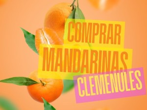 Comprar mandarinas clemenules