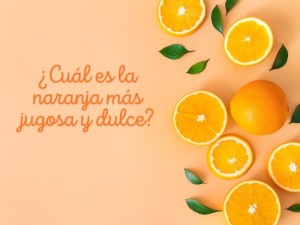 ¿Cuál es la naranja más jugosa y dulce?