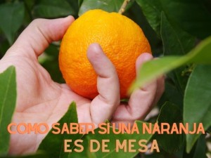 Cómo saber si una naranja es de mesa