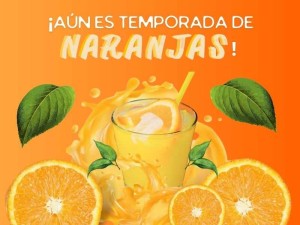 ¡Aún es temporada de naranjas!